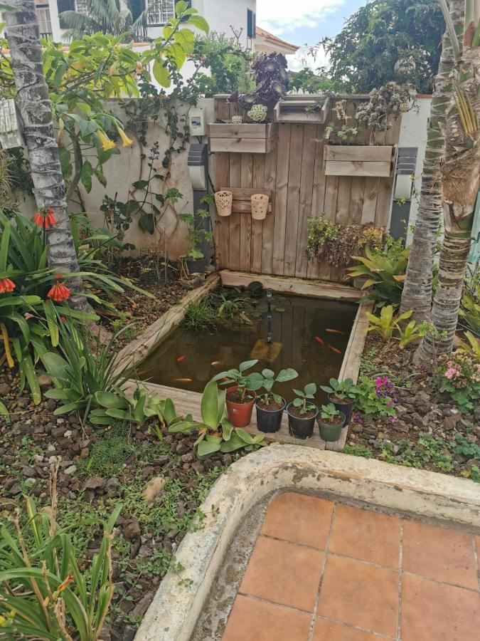 דירות סנטה אורסולה Jardin44 מראה חיצוני תמונה